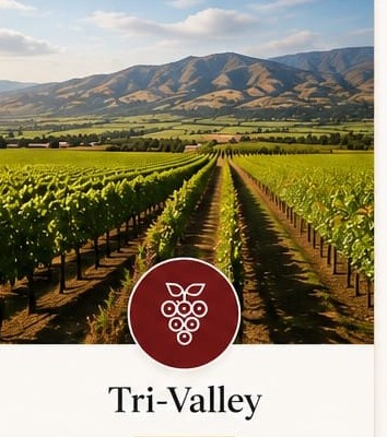 Tri-Valley vineyard rows.